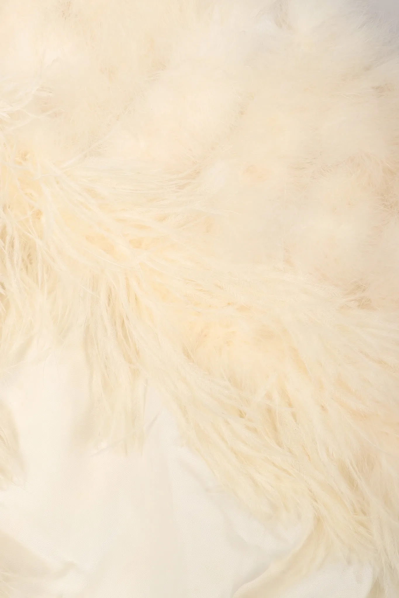 Ostrich Trimmed Marabou Cape