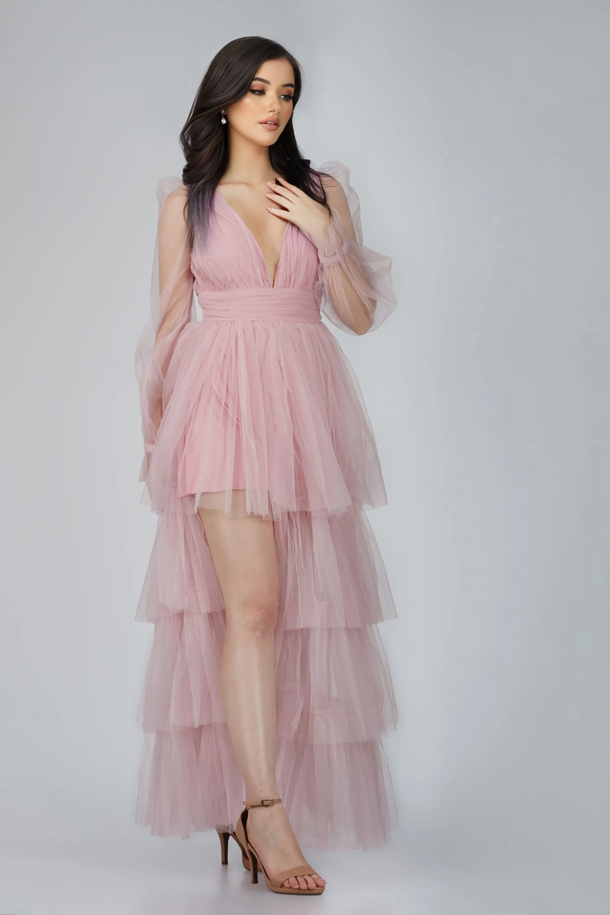 Salma Long Sleeve Tulle Maxi Dress in Pink