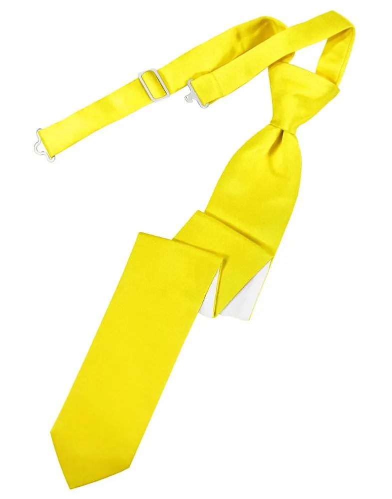 Sunbeam Luxury Satin Skinny Necktie