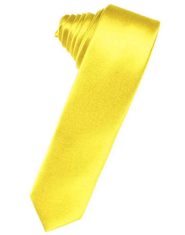 Sunbeam Luxury Satin Skinny Necktie